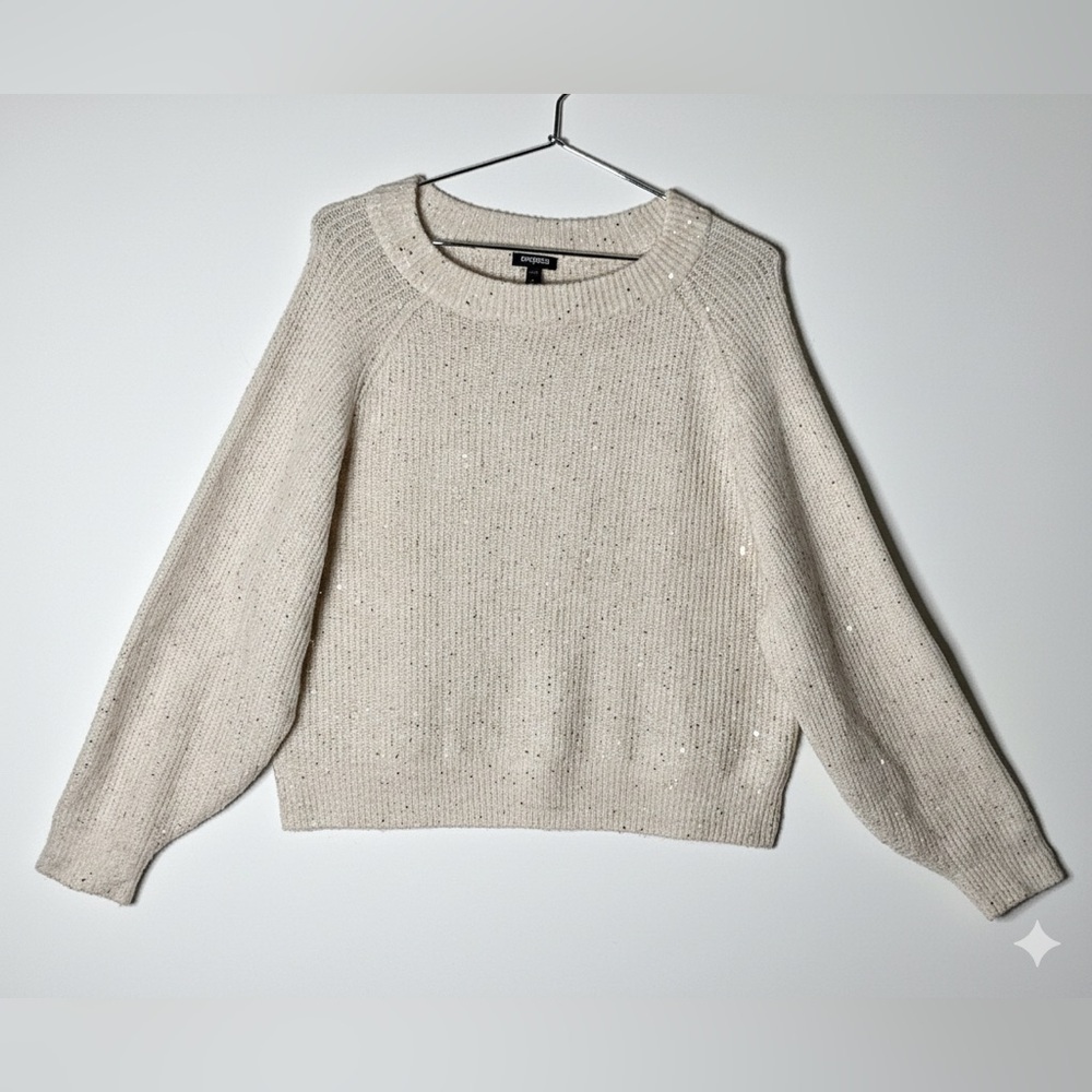 Express Sequin Speckled Knit Sweater - Cream/Oatmeal - Size L - Picture 2 of 8